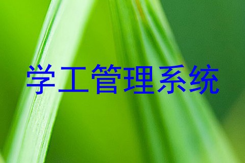 学工管理系统