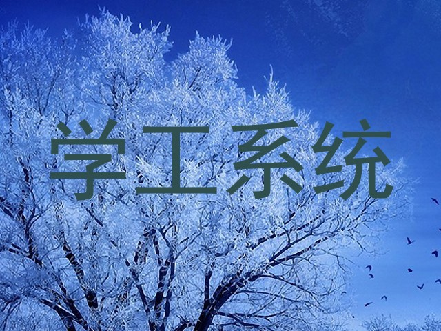 学工系统