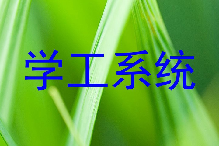学工系统
