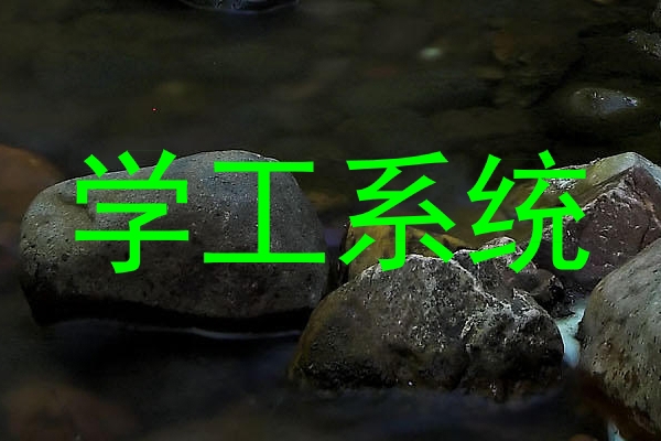 学工系统