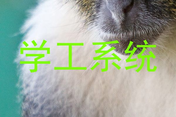 学工系统