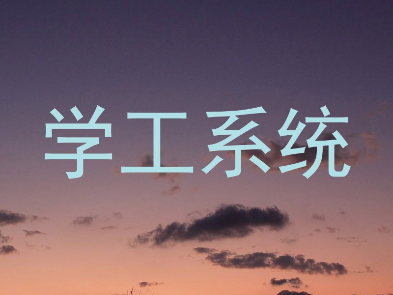 学工系统