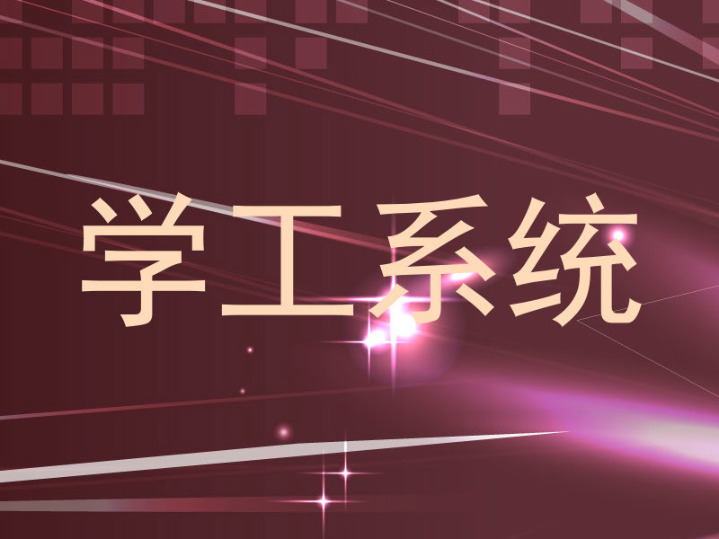 学工系统