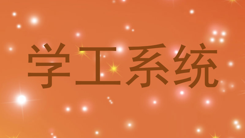 学工系统