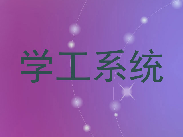 学工系统