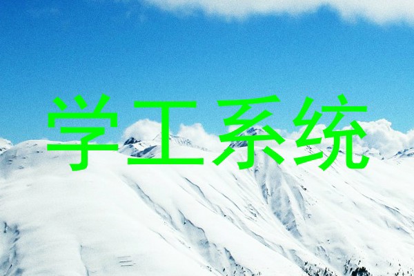 学工系统