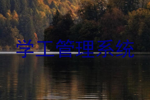 学工管理系统