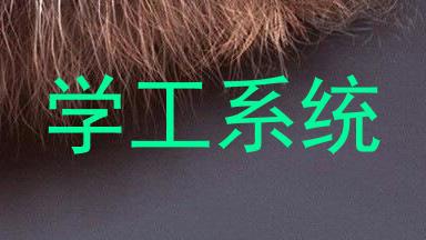 学工系统