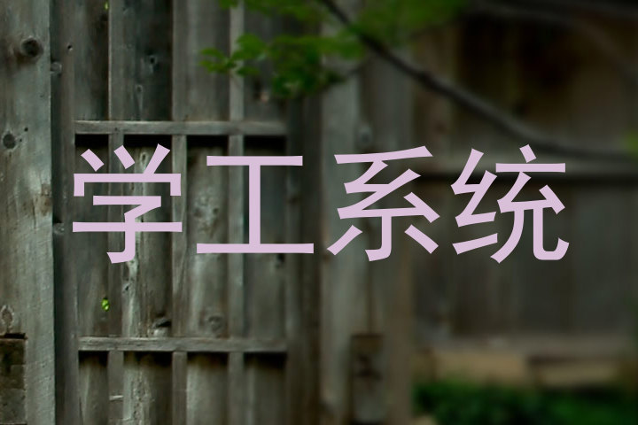 学工系统