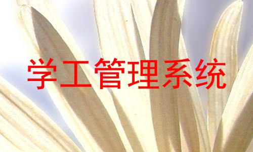 学工管理系统