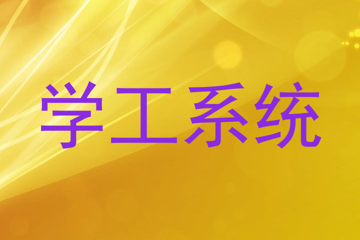 学工系统