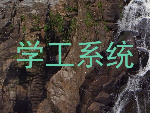 学工系统