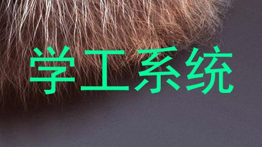 学工系统