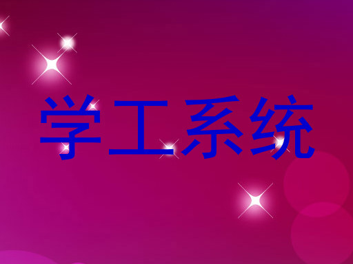 学工系统