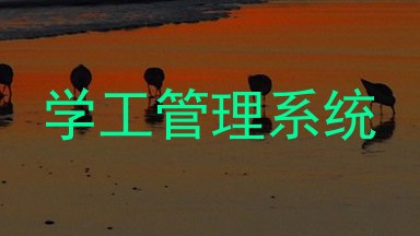 学工管理系统