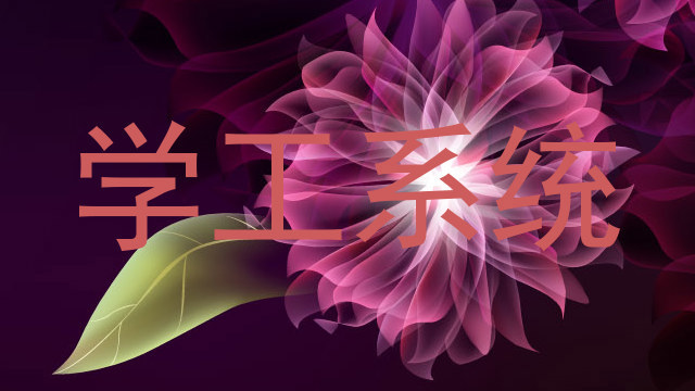 学工系统