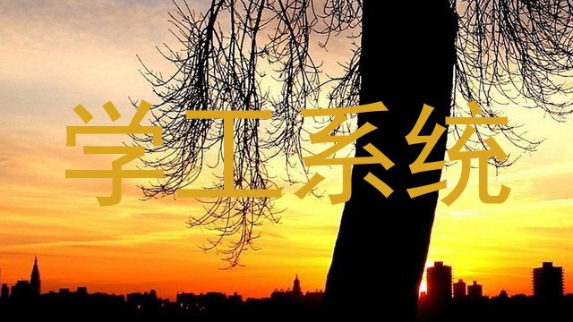 学工系统