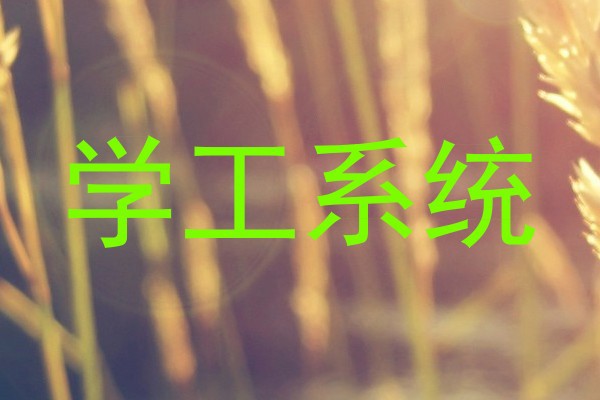 学工系统