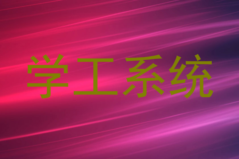 学工系统