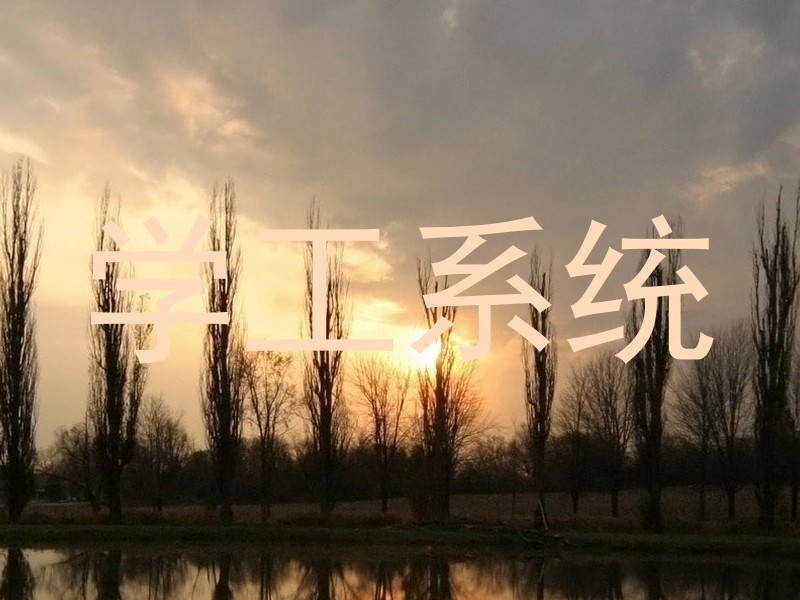 学工系统
