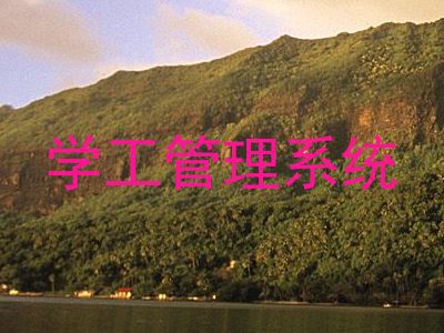 学工管理系统