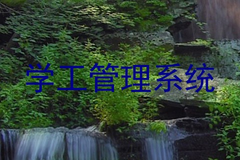 学工管理系统