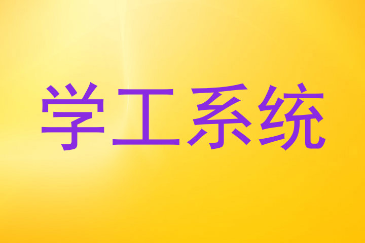 学工系统