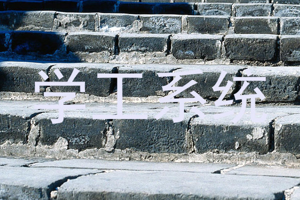 学工系统