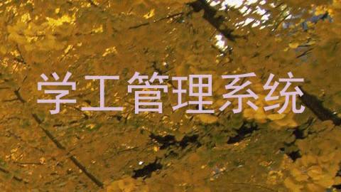 学工管理系统