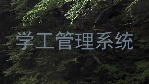 学工管理系统