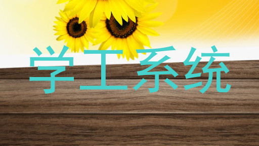 学工系统