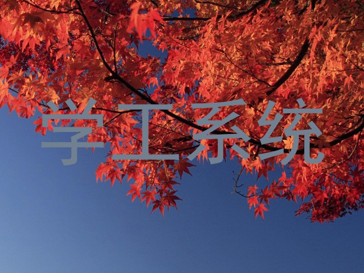 学工系统