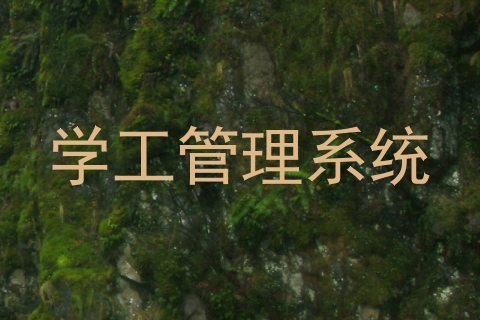 学工管理系统