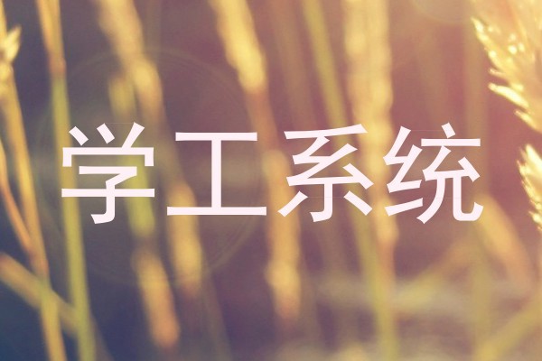 学工系统