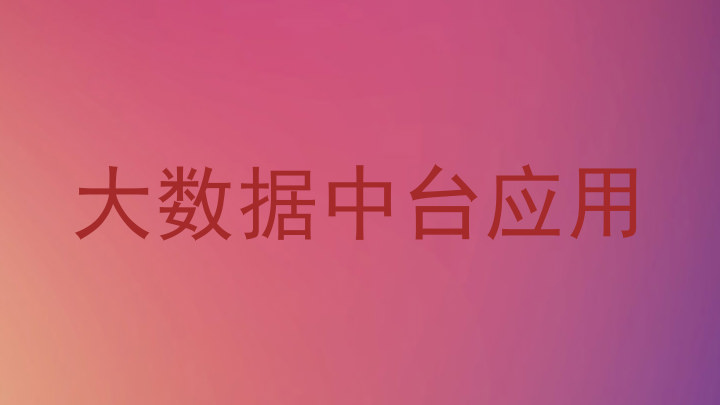 大数据中台应用