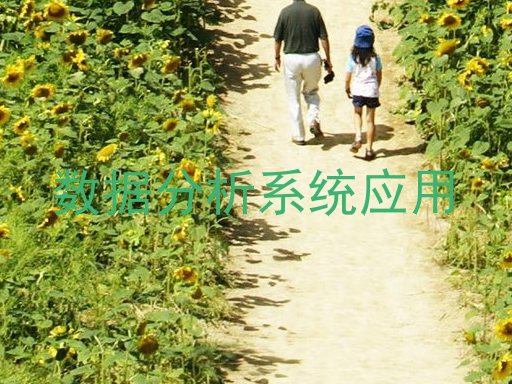 数据分析系统应用