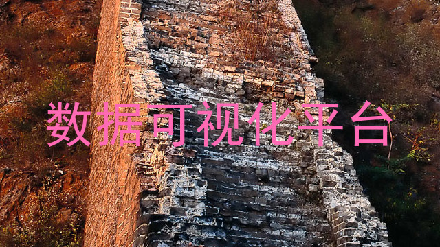 数据可视化平台