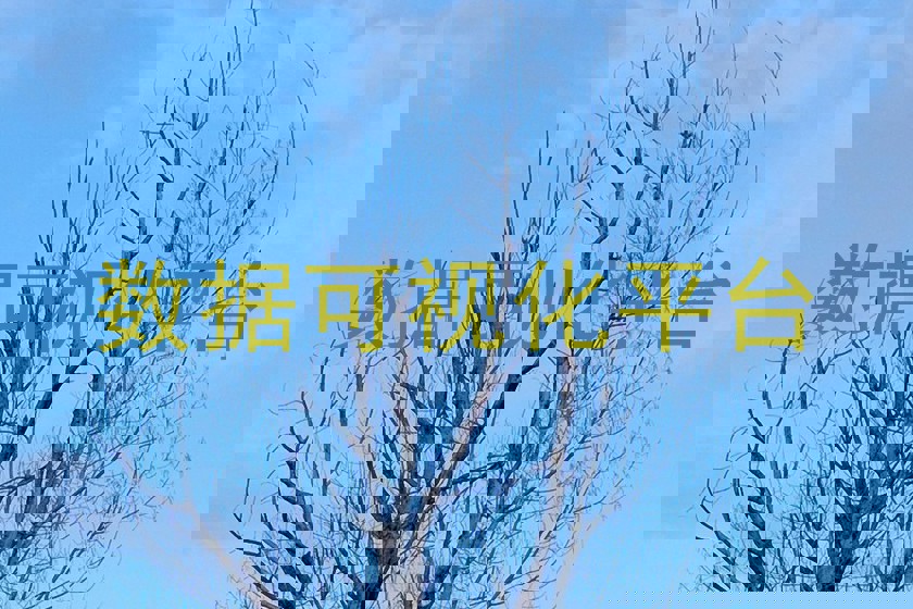 数据可视化平台