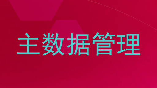 主数据管理