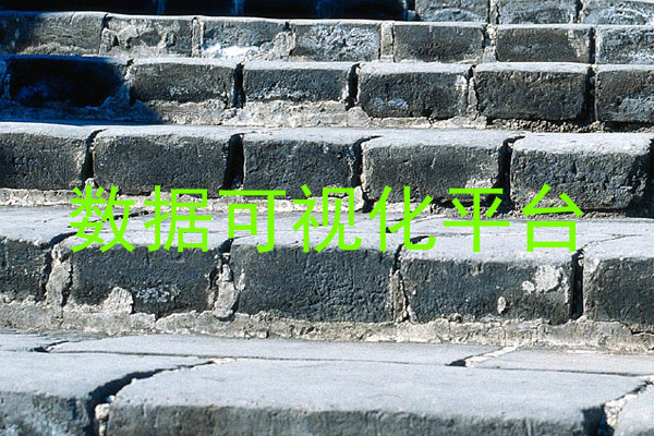 数据可视化平台
