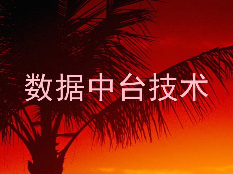 数据中台技术