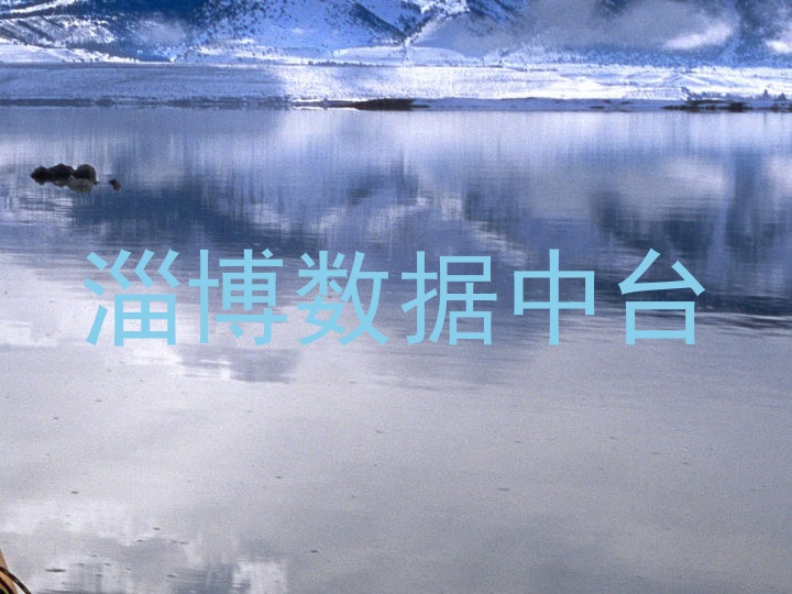 淄博数据中台