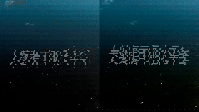大数据可视化平台