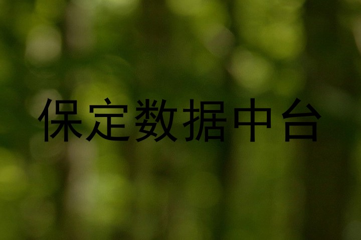 保定数据中台