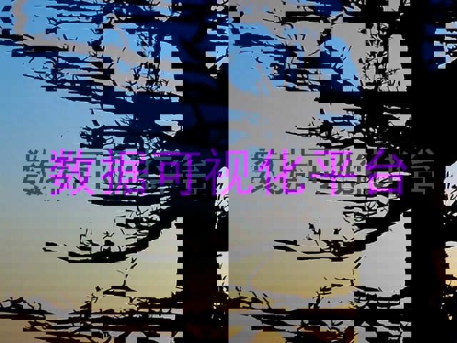 数据可视化平台