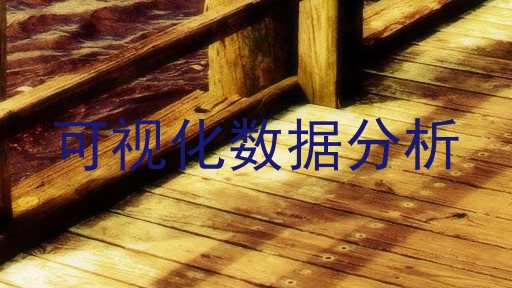 可视化数据分析