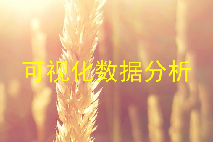 可视化数据分析