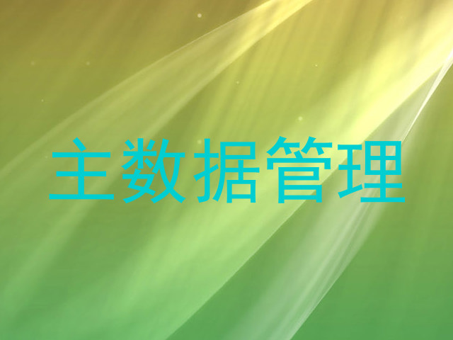 主数据管理