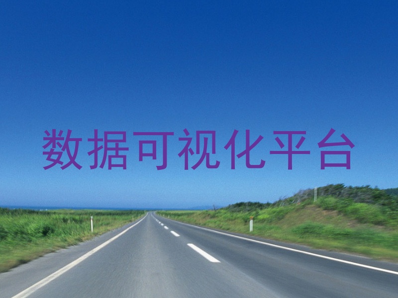 数据可视化平台