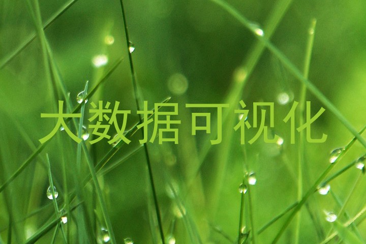 大数据可视化
